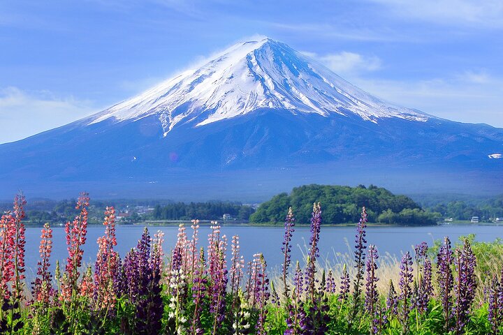 Full day tour to Mount Fuji from Tokyo, visiting lakes and scenic spots, photo 37 | wizardtrip
