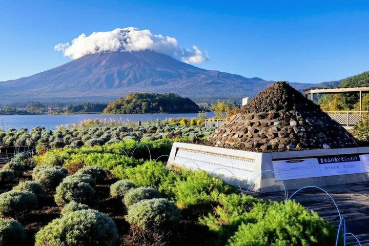 Full day tour to Mount Fuji from Tokyo, visiting lakes and scenic spots, photo 38 | wizardtrip