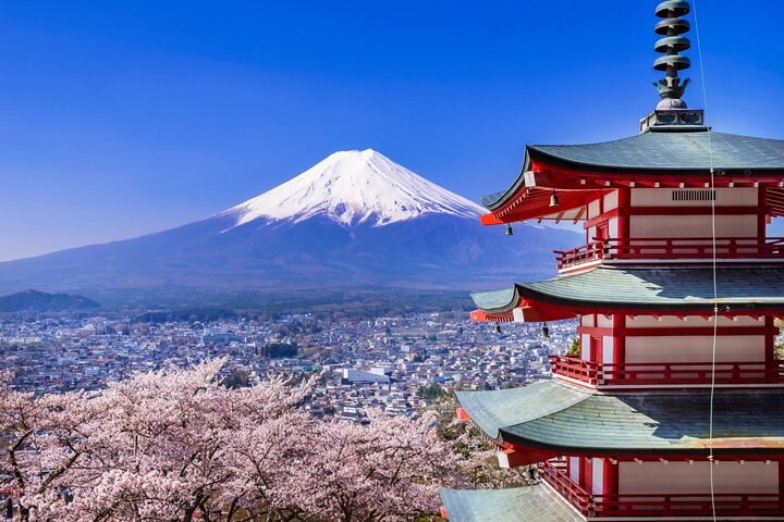Full day tour to Mount Fuji from Tokyo, visiting lakes and scenic spots, photo 43 | wizardtrip