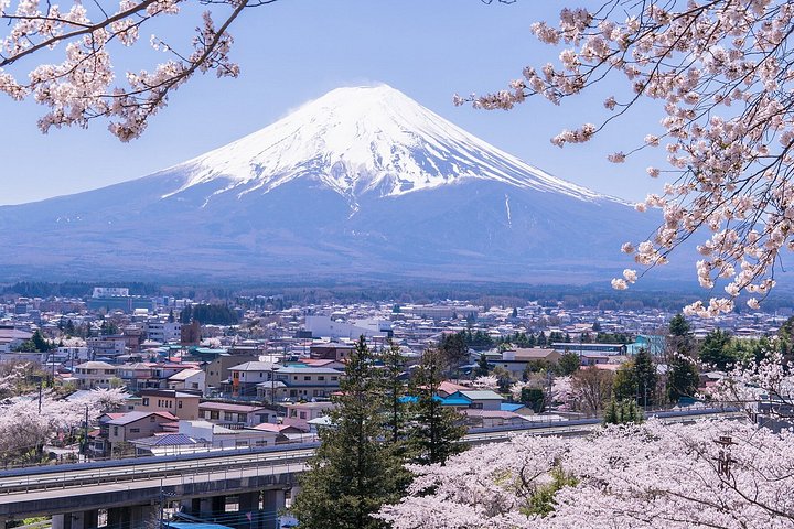 Full day tour to Mount Fuji from Tokyo, visiting lakes and scenic spots, photo 44 | wizardtrip
