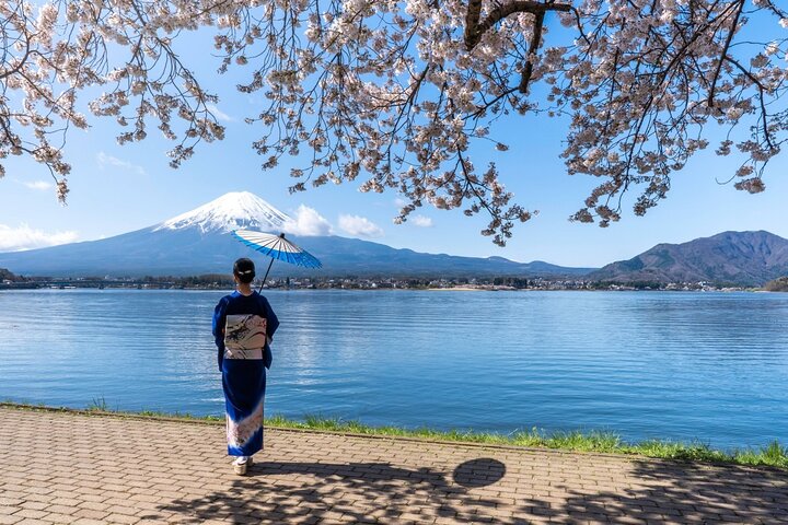 Full day tour to Mount Fuji from Tokyo, visiting lakes and scenic spots, photo 45 | wizardtrip