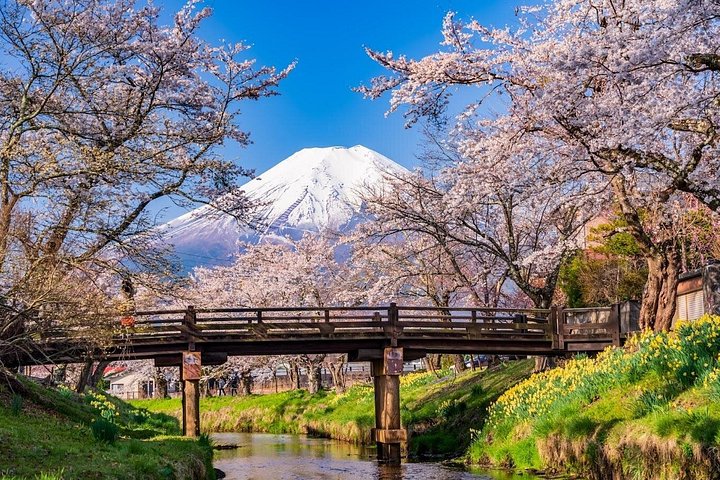 Full day tour to Mount Fuji from Tokyo, visiting lakes and scenic spots, photo 46 | wizardtrip
