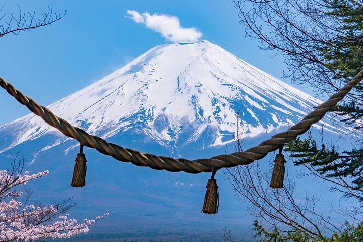 Full day tour to Mount Fuji from Tokyo, visiting lakes and scenic spots, photo 47 | wizardtrip