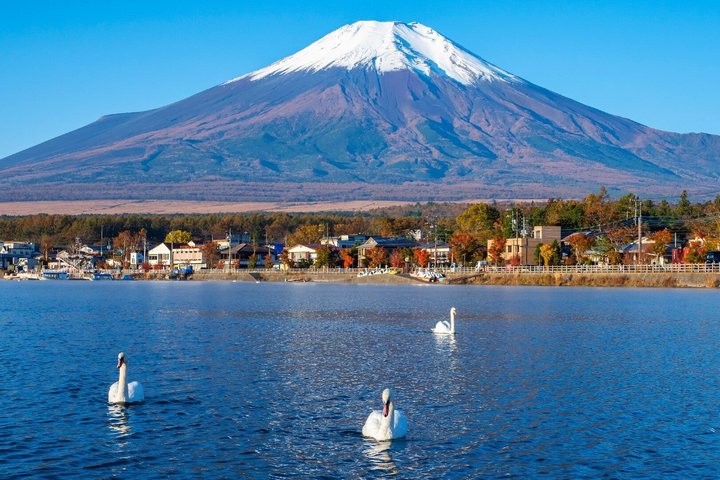 Full day tour to Mount Fuji from Tokyo, visiting lakes and scenic spots, photo 48 | wizardtrip
