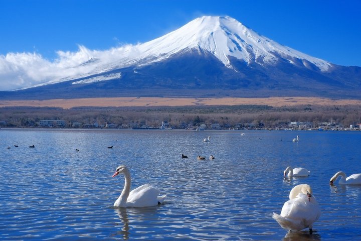 Full day tour to Mount Fuji from Tokyo, visiting lakes and scenic spots, photo 49 | wizardtrip