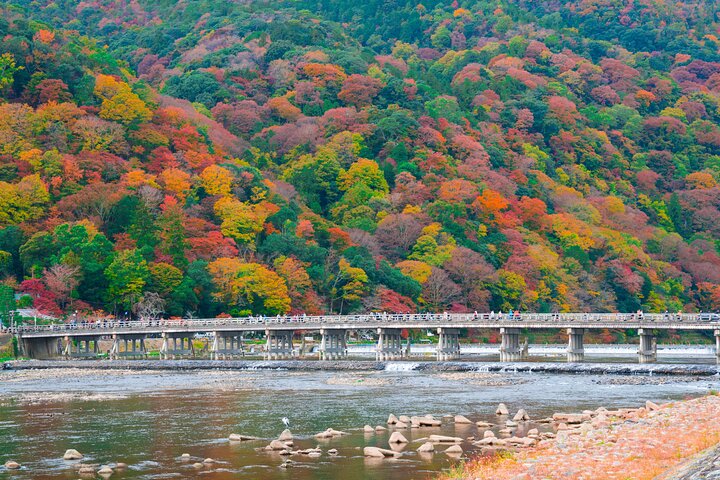 Excursion d'une journée à Kyoto et Nara, avec temples, forêts de bambous et cerfs amicaux, photo 8 | wizardtrip