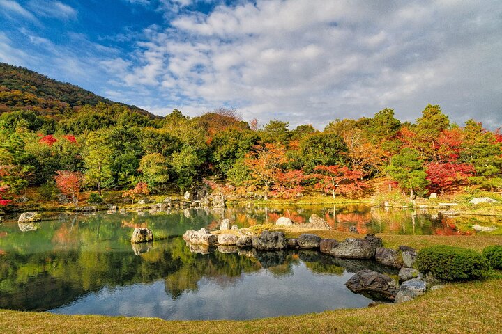 Excursion d'une journée à Kyoto et Nara, avec temples, forêts de bambous et cerfs amicaux, photo 10 | wizardtrip