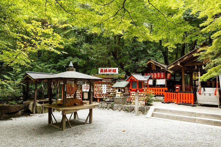 Excursion d'une journée à Kyoto et Nara, avec temples, forêts de bambous et cerfs amicaux, photo 14 | wizardtrip