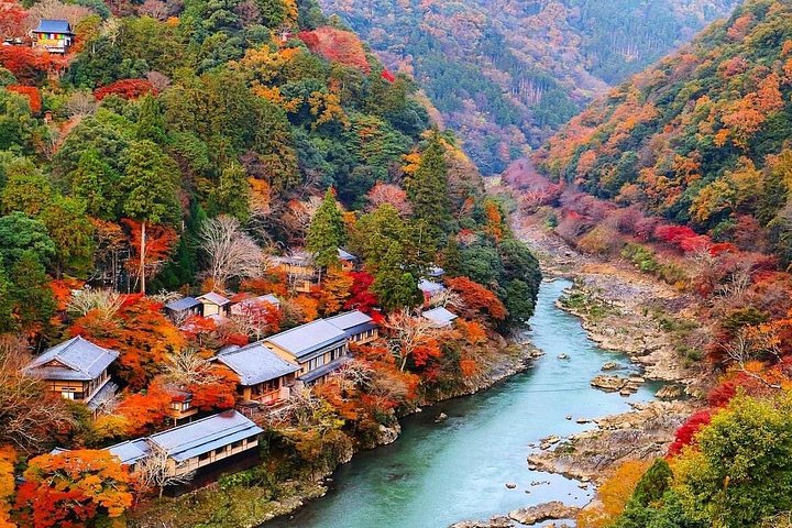 Excursion d'une journée à Kyoto et Nara, avec temples, forêts de bambous et cerfs amicaux, photo 27 | wizardtrip