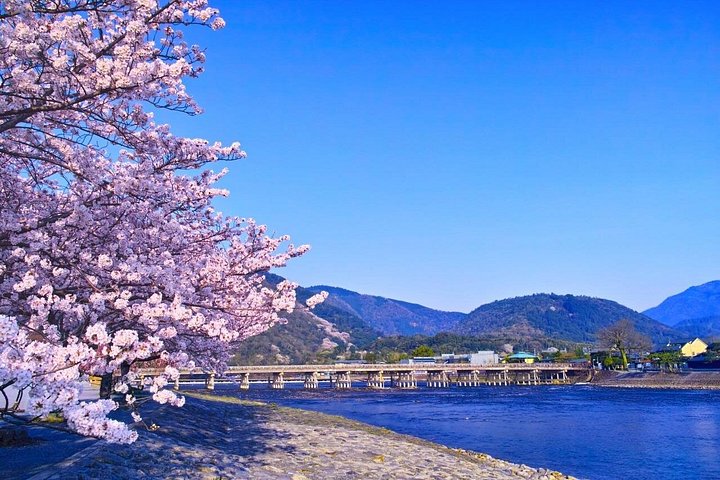 Excursion d'une journée à Kyoto et Nara, avec temples, forêts de bambous et cerfs amicaux, photo 31 | wizardtrip