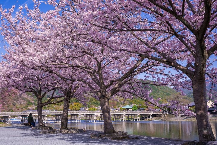 Excursion d'une journée à Kyoto et Nara, avec temples, forêts de bambous et cerfs amicaux, photo 32 | wizardtrip