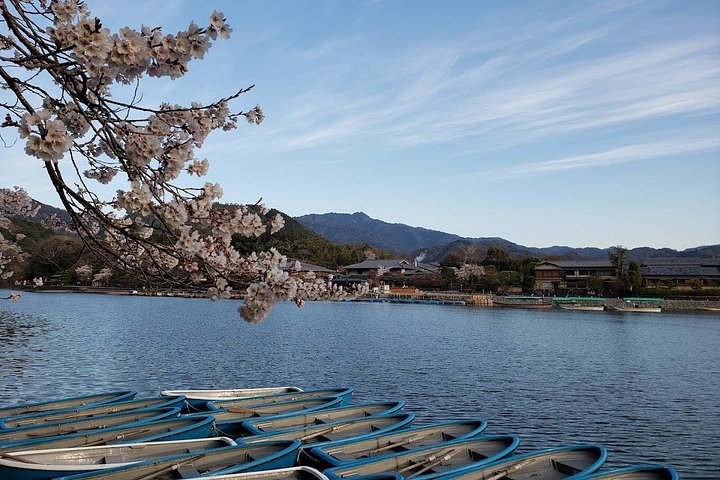 Excursion d'une journée à Kyoto et Nara, avec temples, forêts de bambous et cerfs amicaux, photo 33 | wizardtrip