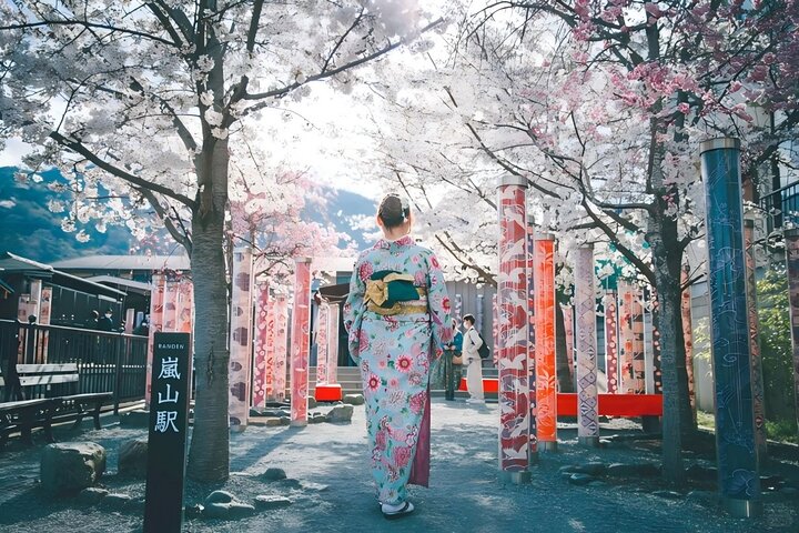 Excursion d'une journée à Kyoto et Nara, avec temples, forêts de bambous et cerfs amicaux, photo 35 | wizardtrip