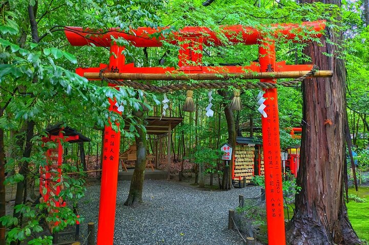Excursion d'une journée à Kyoto et Nara, avec temples, forêts de bambous et cerfs amicaux, photo 43 | wizardtrip