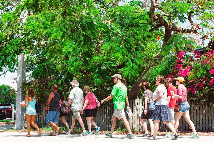 Une visite culinaire à pied explorant la vieille ville historique de Key West, avec de la nourriture et de la culture locales, photo 8 | wizardtrip