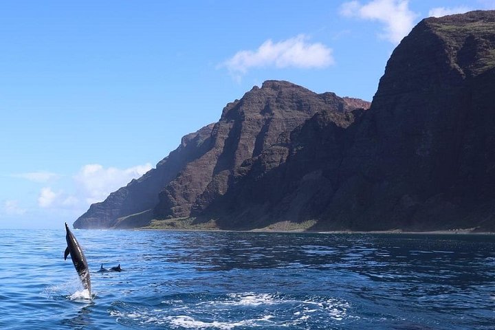 Thrilling Zodiac raft expedition along Kauai's Nā Pali Coast with snorkeling and wildlife viewing opportunities, photo 14 | wizardtrip