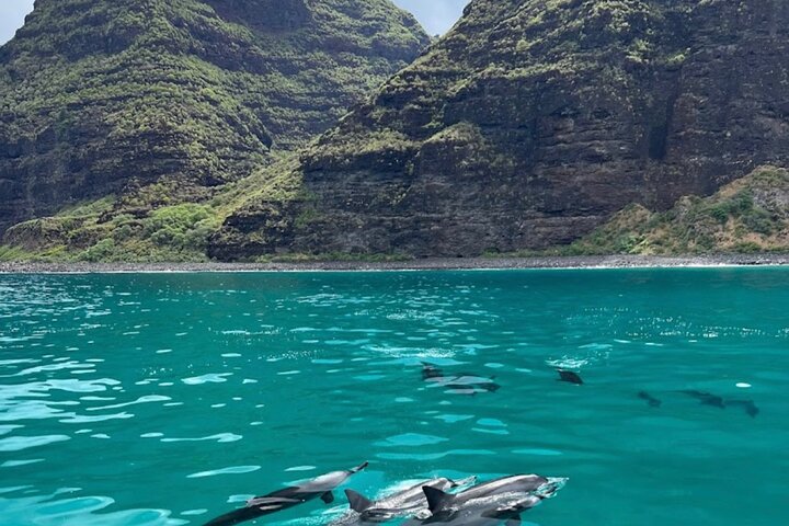 Thrilling Zodiac raft expedition along Kauai's Nā Pali Coast with snorkeling and wildlife viewing opportunities, photo 21 | wizardtrip