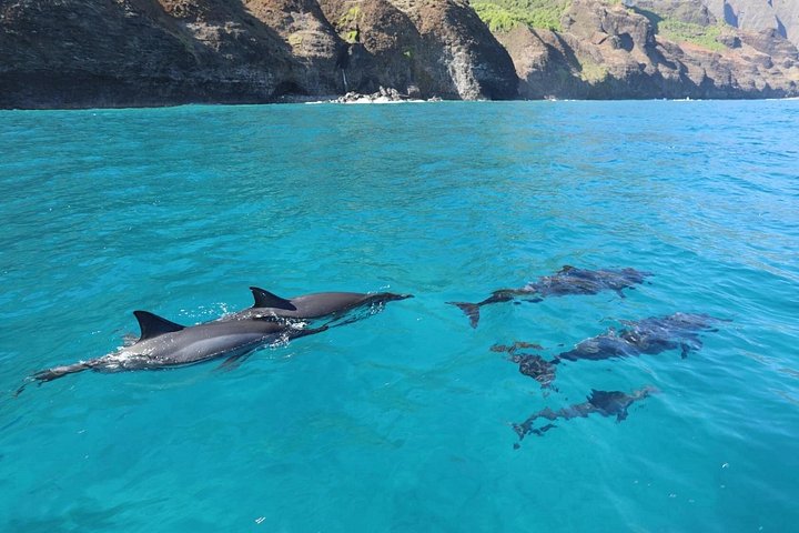 Thrilling Zodiac raft expedition along Kauai's Nā Pali Coast with snorkeling and wildlife viewing opportunities, photo 22 | wizardtrip