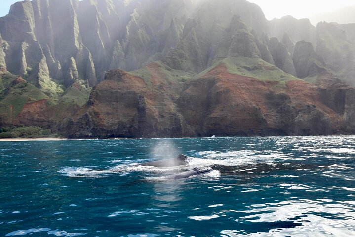 Thrilling Zodiac raft expedition along Kauai's Nā Pali Coast with snorkeling and wildlife viewing opportunities, photo 23 | wizardtrip