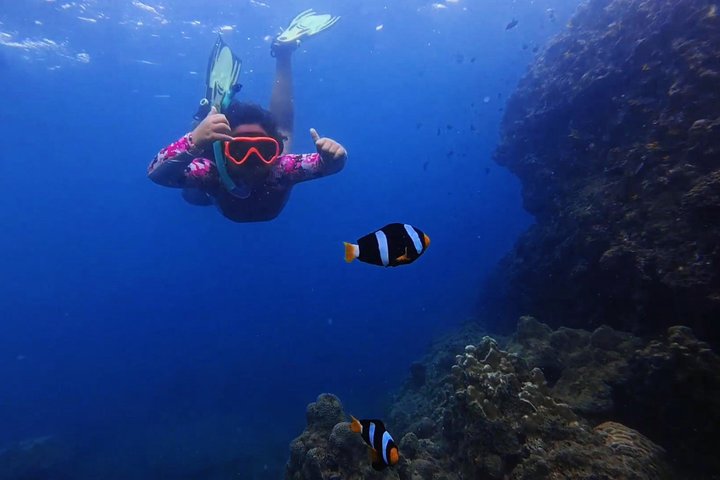 Krabi 4 eilanden zonsondergangscruise met snorkelen, paddleboarden, Thais diner en bioluminescent zwemtocht, foto 12 | wizardtrip