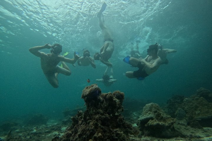 Krabi 4 eilanden zonsondergangscruise met snorkelen, paddleboarden, Thais diner en bioluminescent zwemtocht, foto 27 | wizardtrip