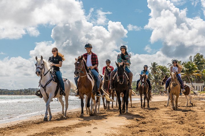 Ridtur gennem regnskov og langs Luquillo Beach i Puerto Rico, foto 8 | wizardtrip