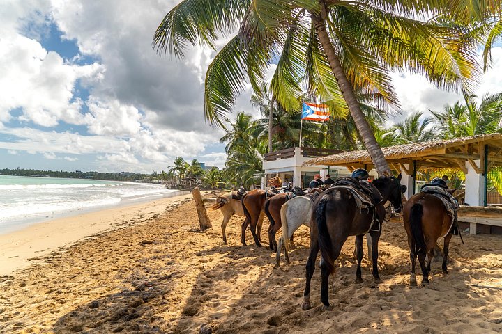 Ridtur gennem regnskov og langs Luquillo Beach i Puerto Rico, foto 11 | wizardtrip