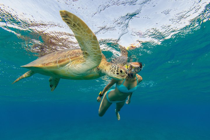 Katamaran seiling og snorkeltur på Aruba med solnedgangsutsikt og BBQ-middag, foto 2 | wizardtrip