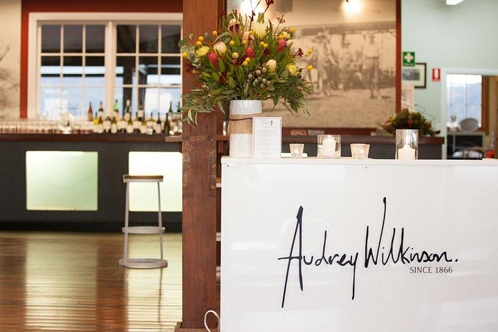 Vinsmagning og picnic-oplevelse på Audrey Wilkinson Vineyard i Hunter Valley, Australien, foto 9 | wizardtrip