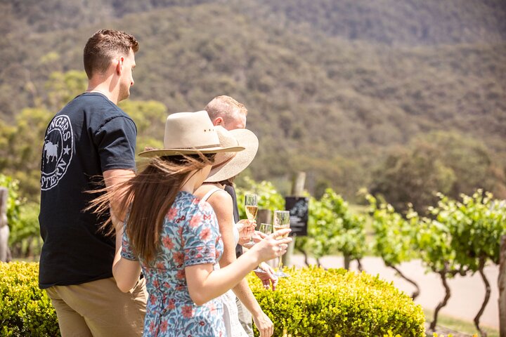 Vinsmagning og picnic-oplevelse på Audrey Wilkinson Vineyard i Hunter Valley, Australien, foto 10 | wizardtrip