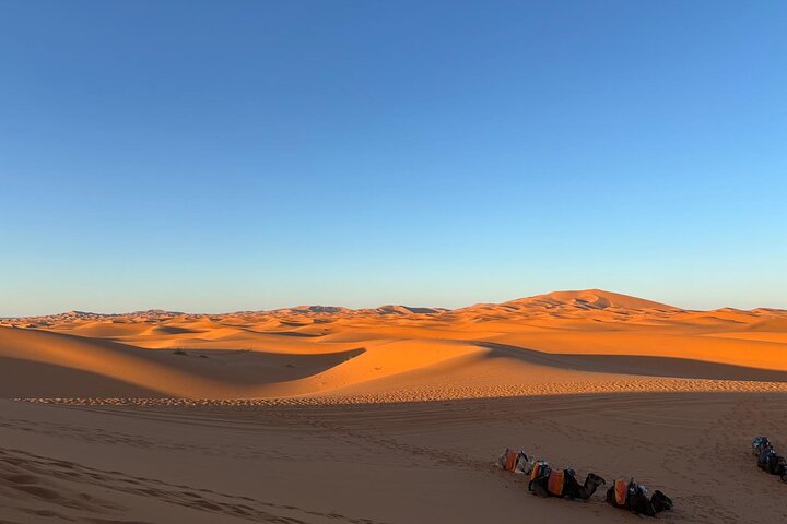 Tour di 3 giorni nel deserto da Fes a Marrakech via Merzouga, con giri in cammello, campi nel deserto e paesaggi marocchini, foto 21 | wizardtrip