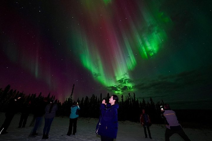 Experience the Northern Lights from a mountaintop cabin near Fairbanks, Alaska, with 360° views and photography assistance, photo 10 | wizardtrip