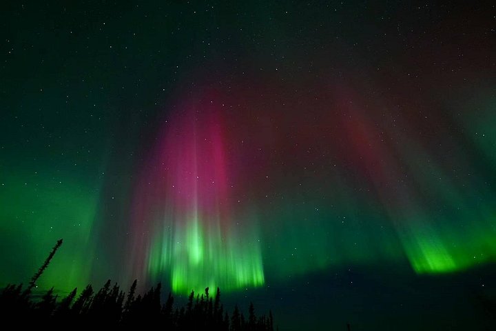 Experience the Northern Lights from a mountaintop cabin near Fairbanks, Alaska, with 360° views and photography assistance, photo 12 | wizardtrip