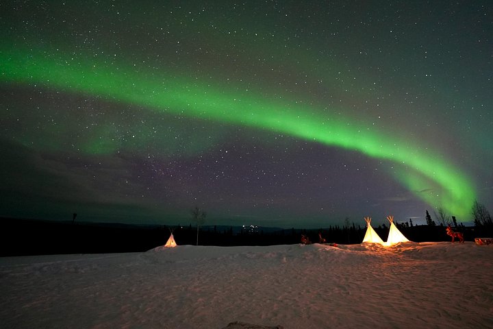 Experience the Northern Lights from a mountaintop cabin near Fairbanks, Alaska, with 360° views and photography assistance, photo 14 | wizardtrip