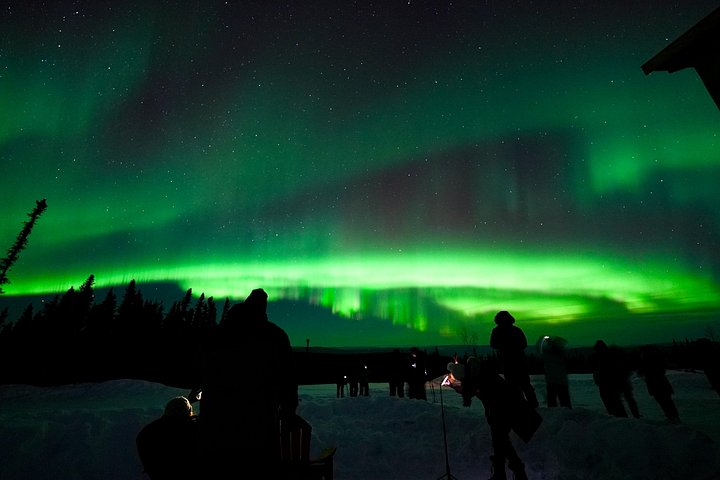 Experience the Northern Lights from a mountaintop cabin near Fairbanks, Alaska, with 360° views and photography assistance, photo 23 | wizardtrip