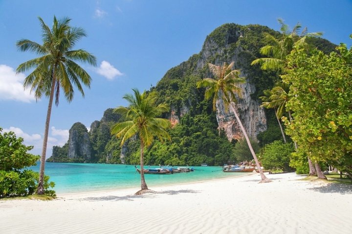 Speedboottocht naar Phi Phi en Bamboo eilanden vanuit Phuket, Thailand, met snorkelen en prachtige stranden, foto 21 | wizardtrip