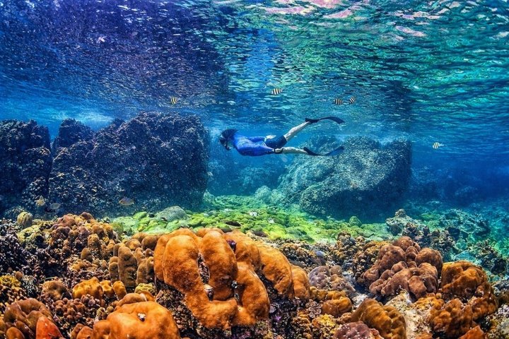 Speedboottocht naar Phi Phi en Bamboo eilanden vanuit Phuket, Thailand, met snorkelen en prachtige stranden, foto 24 | wizardtrip
