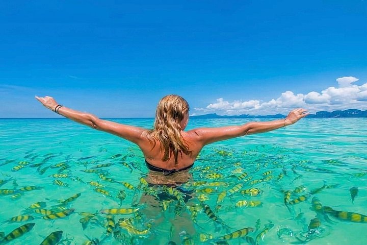 Speedboottour naar Phi Phi en Khai eilanden vanuit Phuket, Thailand, met snorkelen en prachtige stranden, foto 20 | wizardtrip