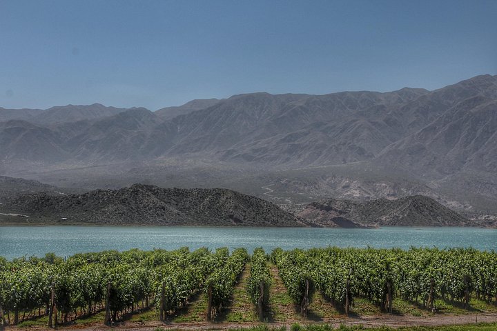 Lille gruppetur til Aconcagua Park fra Mendoza med andinske landskaber og grillfrokost, foto 8 | wizardtrip