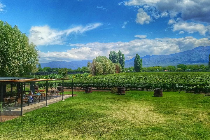 Luxus-Weintour in kleiner Gruppe in Mendoza, Argentinien, mit Weingutbesuchen und Gourmet-Mittagessen, Foto 6 | wizardtrip