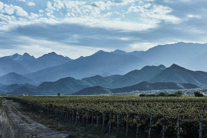 Luxus-Weintour in kleiner Gruppe in Mendoza, Argentinien, mit Weingutbesuchen und Gourmet-Mittagessen, Foto 7 | wizardtrip