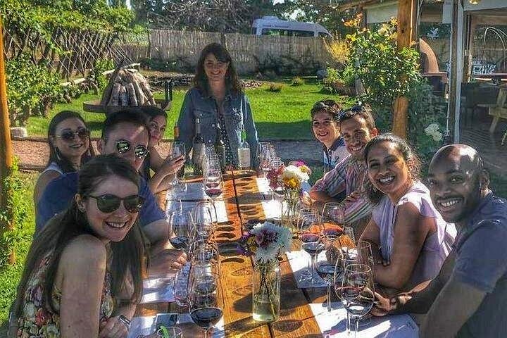 Luxus-Weintour in kleiner Gruppe in Mendoza, Argentinien, mit Weingutbesuchen und Gourmet-Mittagessen, Foto 9 | wizardtrip
