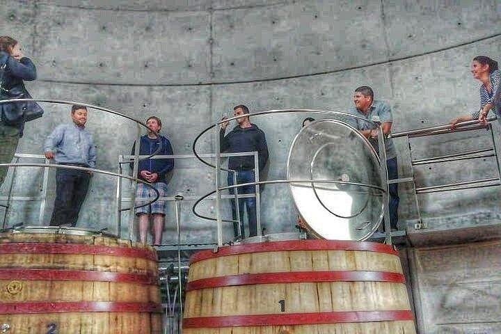 Luxus-Weintour in kleiner Gruppe in Mendoza, Argentinien, mit Weingutbesuchen und Gourmet-Mittagessen, Foto 10 | wizardtrip