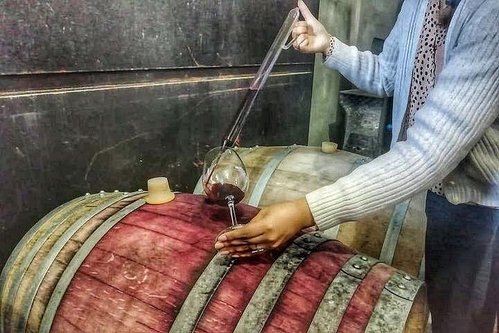 Luxus-Weintour in kleiner Gruppe in Mendoza, Argentinien, mit Weingutbesuchen und Gourmet-Mittagessen, Foto 13 | wizardtrip