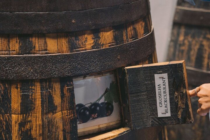 Explore historic Port wine cellars and enjoy a tasting in Porto, photo 6 | wizardtrip