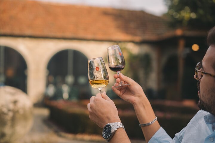 Explore historic Port wine cellars and enjoy a tasting in Porto, photo 8 | wizardtrip