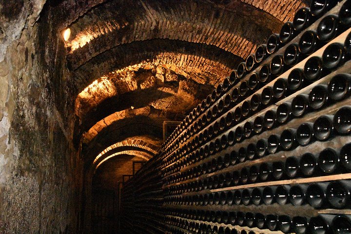 Erleben Sie eine authentische Rioja-Weinreise mit Weinbergbesuchen, lokaler Küche und erfahrenen Guides, Foto 12 | wizardtrip