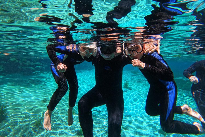 Begeleide zeekoe zwemsafari in Crystal River, Florida, met professionele gidsen en verstrekte uitrusting, foto 11 | wizardtrip