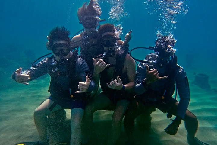 Nybörjardykning i San Juan, Puerto Rico, med sköldpaddor och tropiska fiskar, foto 9 | wizardtrip