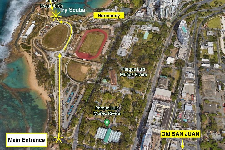 Nybörjardykning i San Juan, Puerto Rico, med sköldpaddor och tropiska fiskar, foto 10 | wizardtrip